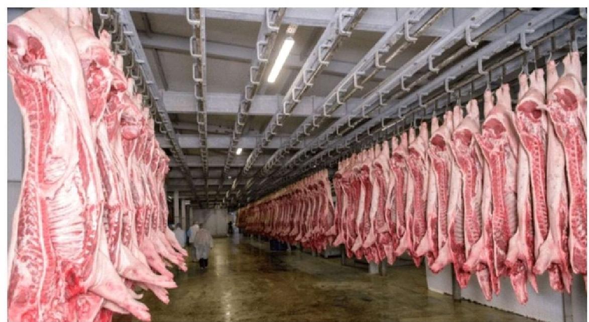 Intelligent traceability management of pig slaughterhouses 2.jpg Intelligent traceability management of pig slaughterhouses 2.jpg