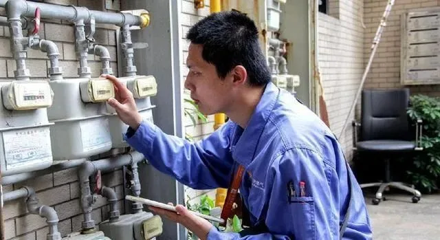 Intelligent meter reading